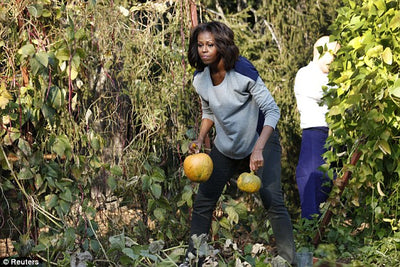 Michelle O. ceuille des citrouilles pour Halloween.