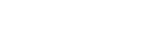 MVSE